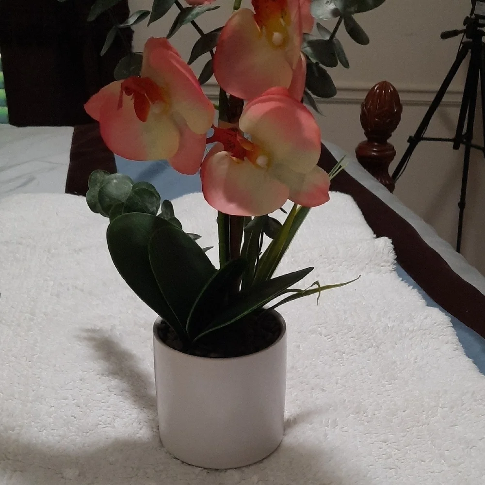 Pink and Green Floral Arrangement in White Pot